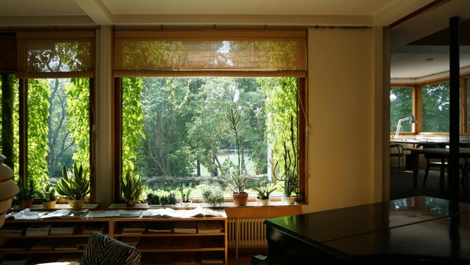 Signs Your Home Needs Replacement Windows in Indianapolis Climate